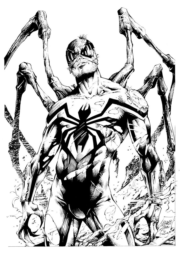 736x1054 Superior Spider Inks By Devgear On Lineart Spiders