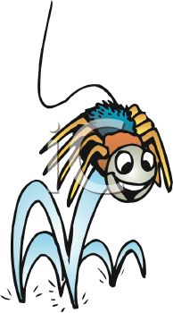 194x350 Jumping Spiders Clipart