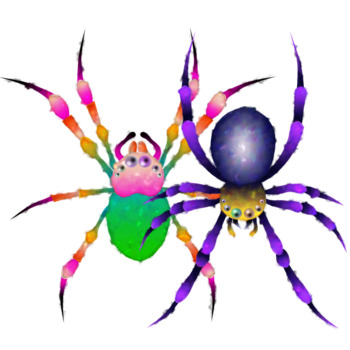 350x350 Spiders Amp Webs Clip Art By Catcarolines Teachers Pay Teachers