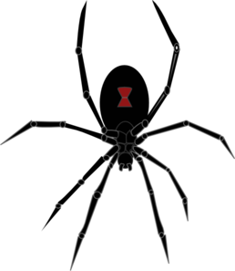 258x297 Black Widow Spider Clip Art