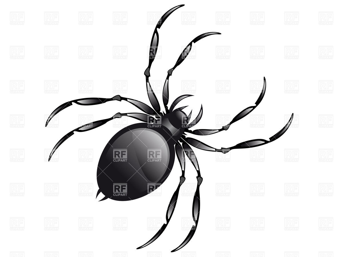 1200x900 Black Poisonous Spider Royalty Free Vector Clip Art Image