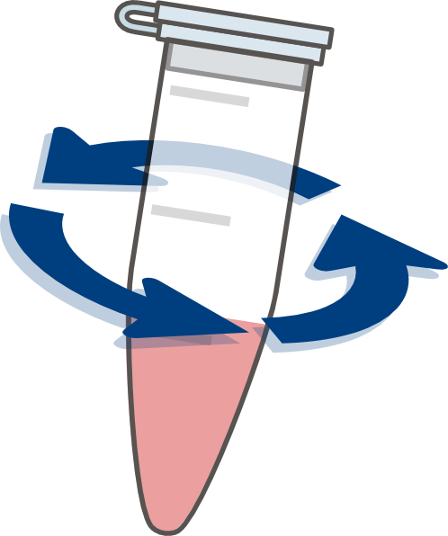 498x596 Eppendorf Spin Clip Art