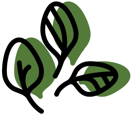 454x394 Fresh Spinach Marinara Sauce Superfoodsrx Change Your Life