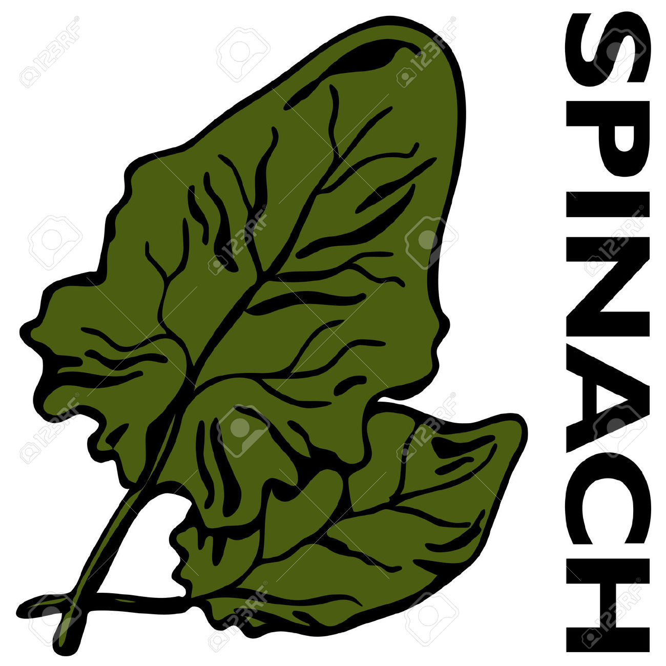 1300x1300 Leaf Spinach Clipart