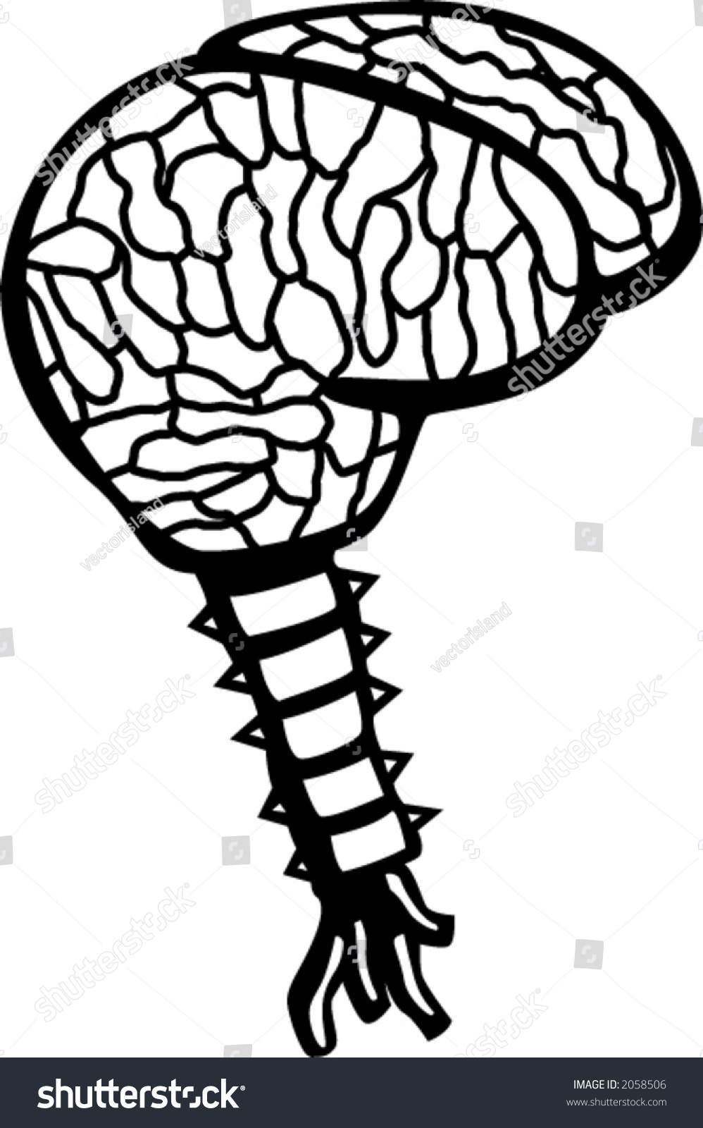 998x1600 Brains Clipart Spine