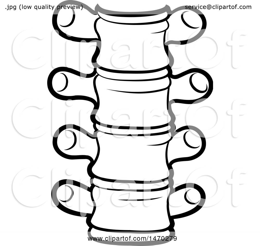 1080x1024 Clipart Of A Black And White Spine