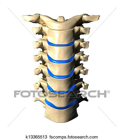 416x470 Drawing Of Cervical Spine