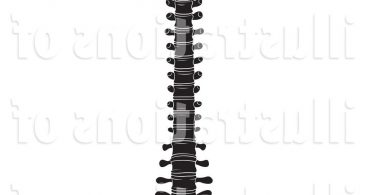 367x195 Spine Vector Clip Art Archives