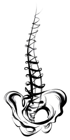 236x471 Spine Drawing