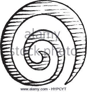 304x320 Spiral Galaxy Icon, Cartoon Style Stock Vector Art Amp Illustration