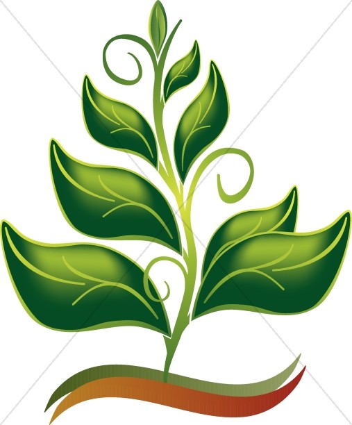 507x612 Clip Art Nature Many Interesting Cliparts