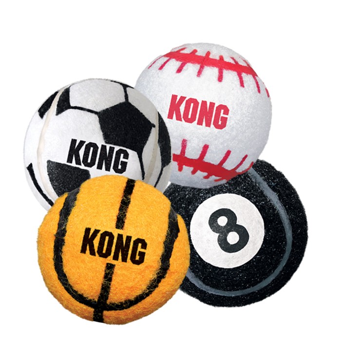 700x700 Kong Sport Balls