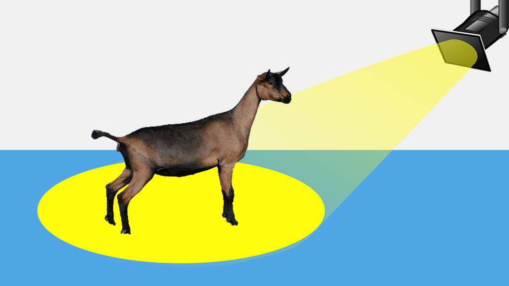 1024x576 What Is The Spotlight Sale