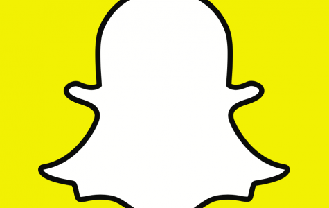 475x300 Ms Spotlight The Oracle