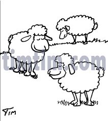 212x238 Image Result For Bird Clipart Black And White Banners