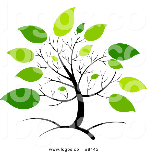 600x620 Royalty Free Clip Art Vector Logo Of A Spring Tree With Big Green