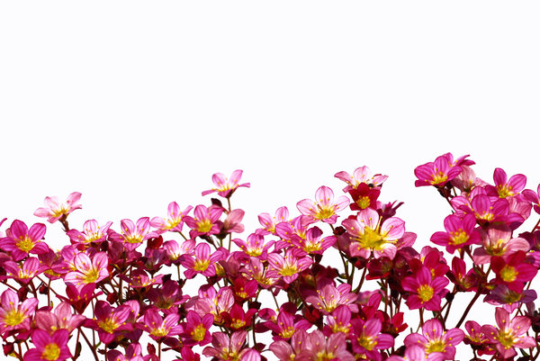 600x401 Free Stock Photos