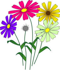 255x299 Microsoft Cliparts Daisy 233053