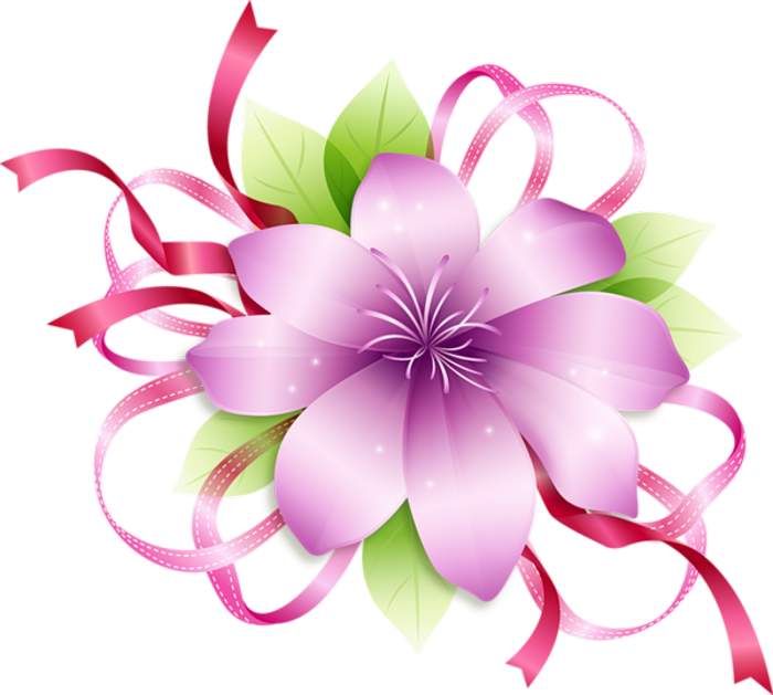 700x629 Clip Art Flowers Border Png Flower