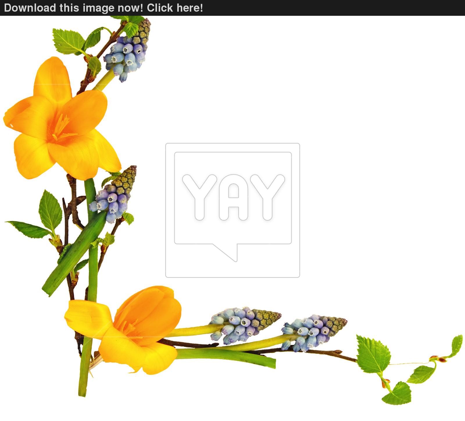 1600x1448 Spring Flowers Border Image