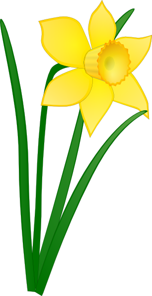 306x596 St Davids Day Free Vector Daffodil Clip Art Clip Art Flowers