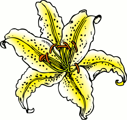 500x473 Free Lily Clipart