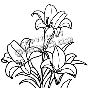 300x300 Flowering Plants Clipart Black And White