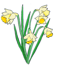 190x215 Spring Clipart