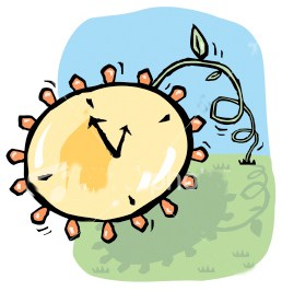 258x266 Spring Forward This Weekend Daylight Saving Time Begins 2am