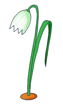210x353 Snowdrops Spring Clipart, Explore Pictures