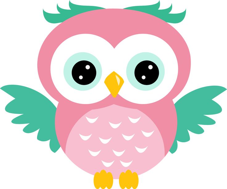 Spring Owl Clipart