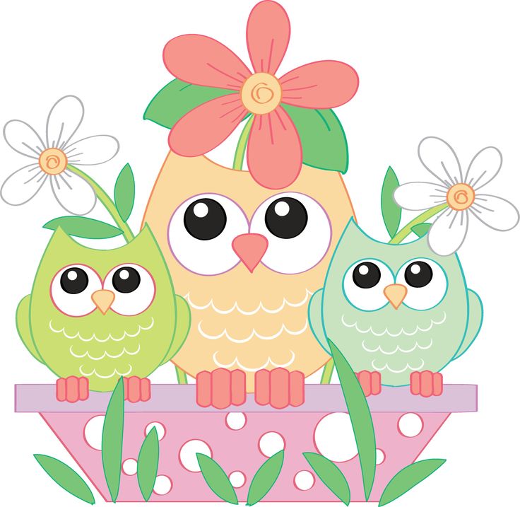 736x717 Owlet Clipart May