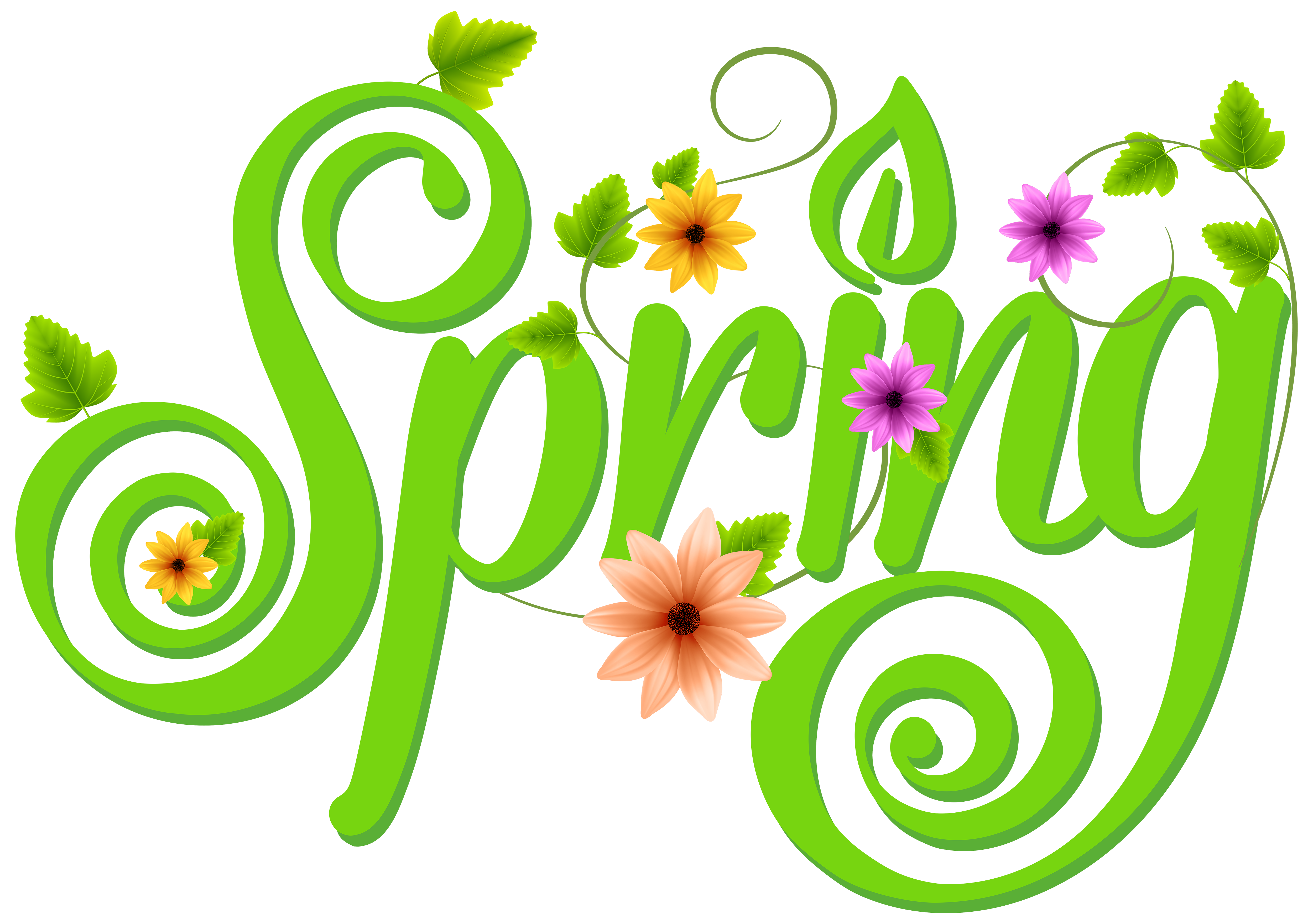 5000x3519 Spring Decoration Png Clip Art Imageu200b Gallery Yopriceville