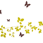 180x180 Spring Png Transparent Images Png All