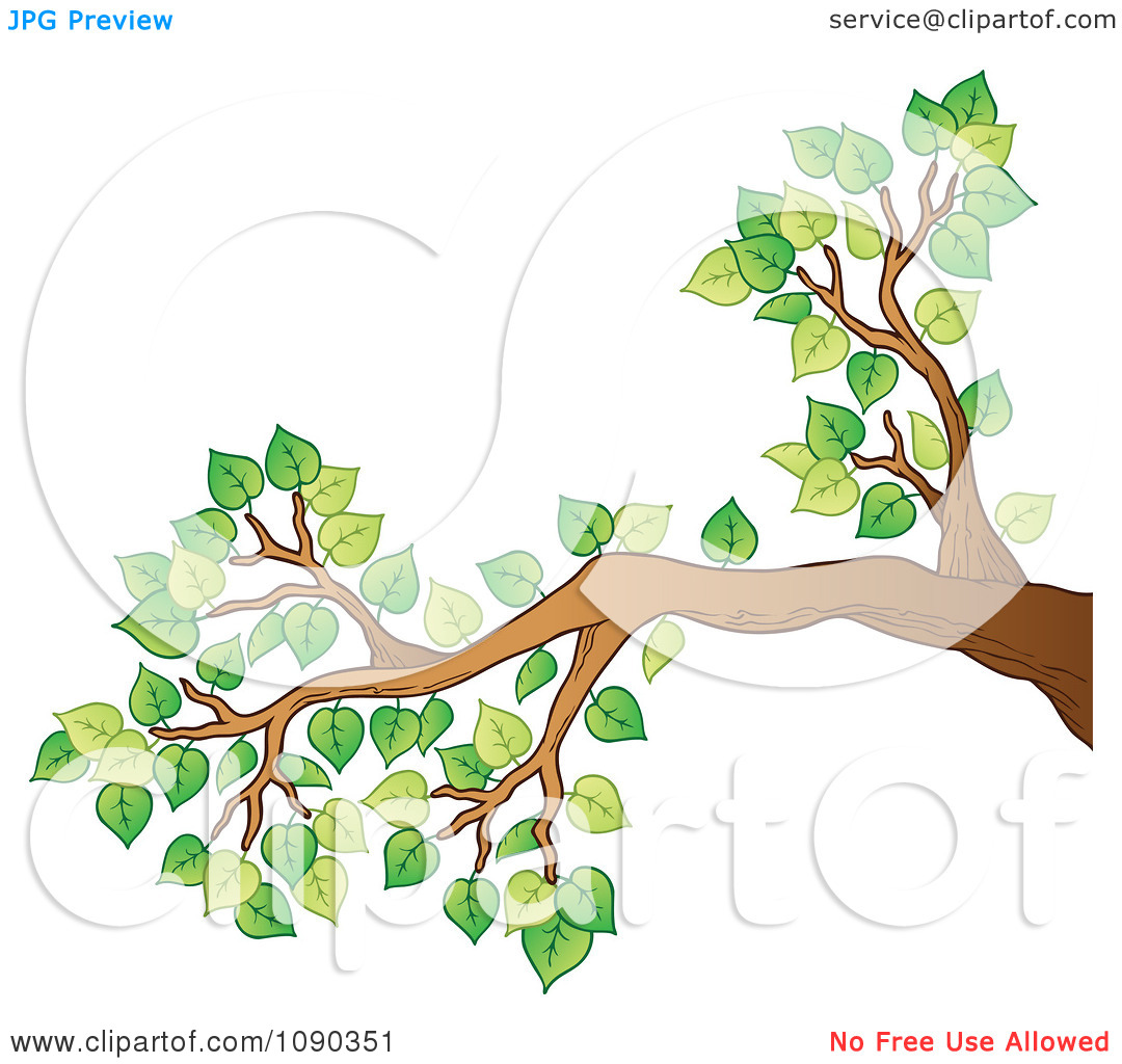 1080x1024 Clipart Tree With Branches And Leaves Clipart Panda