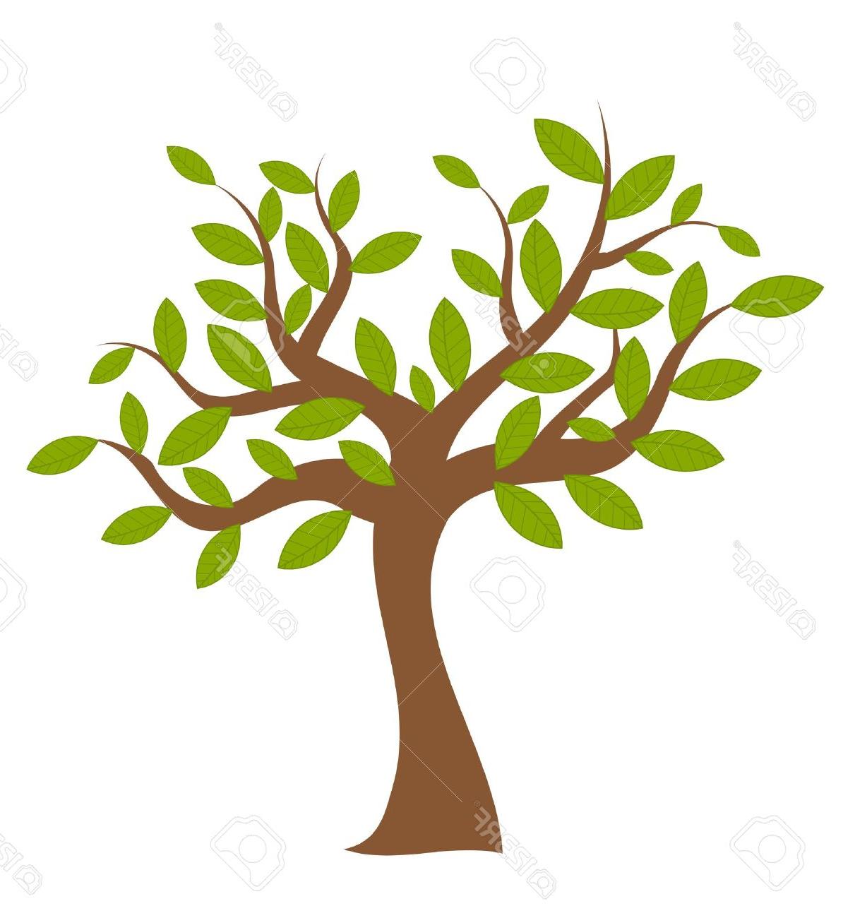 1194x1300 Hd Spring Tree With Green Leaves Over White Vector Illustration