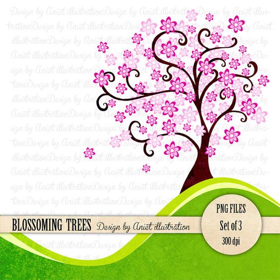 564x564 Pink Blossoms Spring Tree Clip Art Cliparts