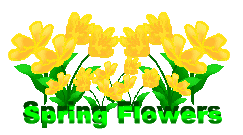 243x135 Clipart Spring Flowers Clipart Panda