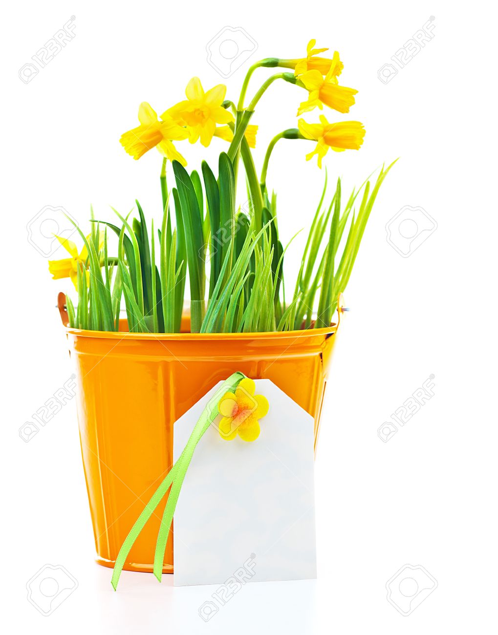1019x1300 Pot Plant Clipart Springtime