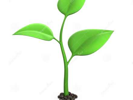 440x330 Brussel Sprouts Clip Art, Vegetable Sprout Identification