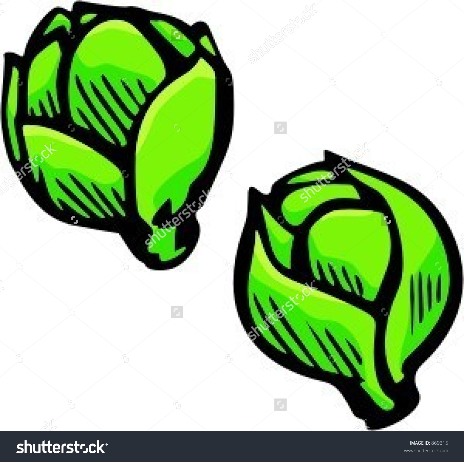 1500x1495 Brussels Sprouts Clipart