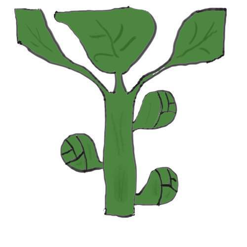 500x500 Brussels Sprouts Plant Clipart