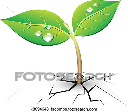 450x395 Clipart Of Beautiful Young Sprout. K8075684