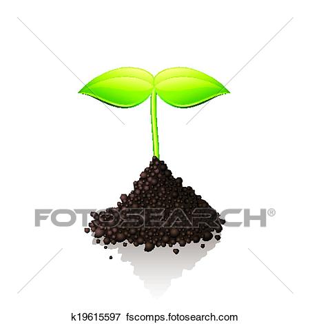 450x470 Graphics For Sprout Vector Graphics