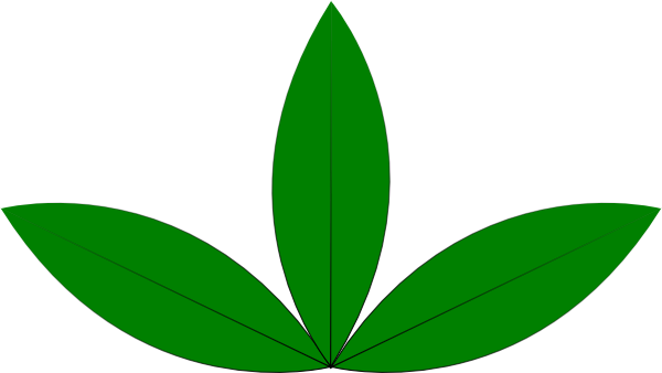 600x338 Green Sprout Clip Art