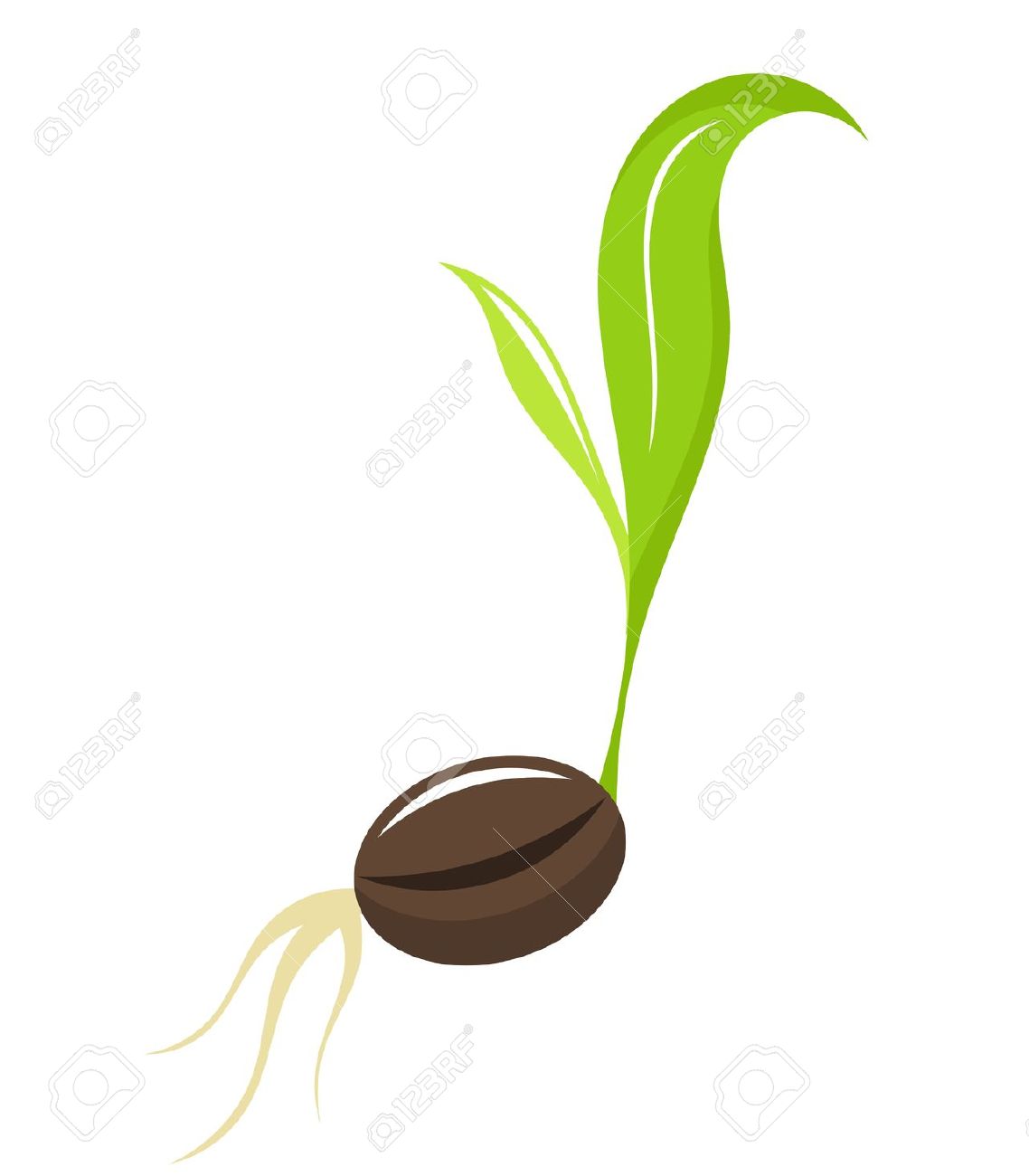 1138x1300 Plant Clipart Small Plant