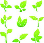 170x165 Sprout Clip Art