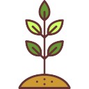 128x128 Sprout Vectors, Photos And Psd Files Free Download