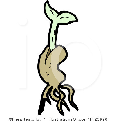 400x420 Bean Clipart Bean Sprout