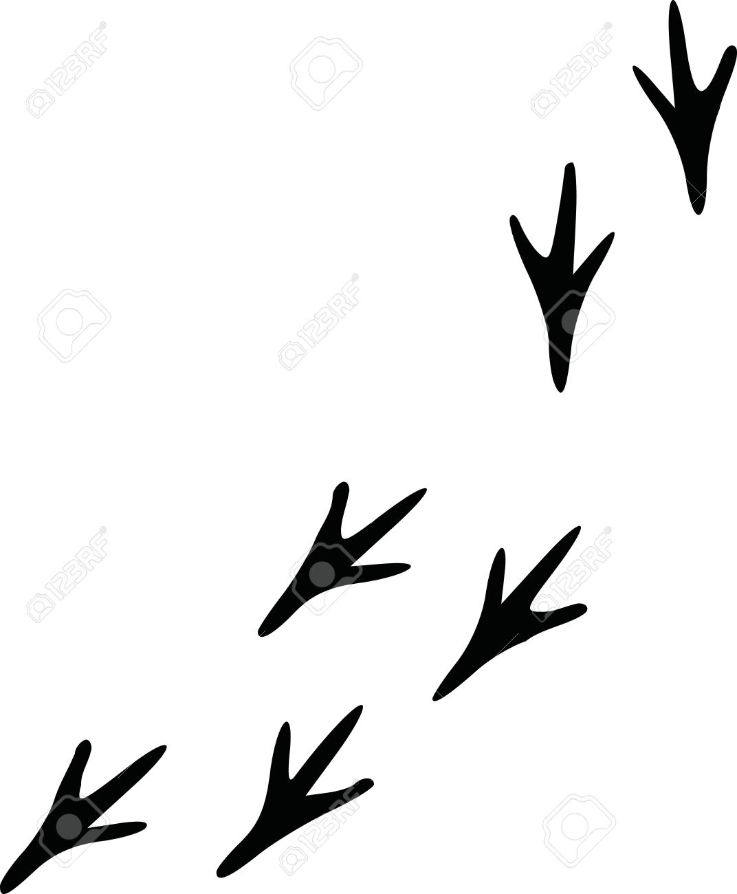 1072x1300 Footprint Clipart Bird